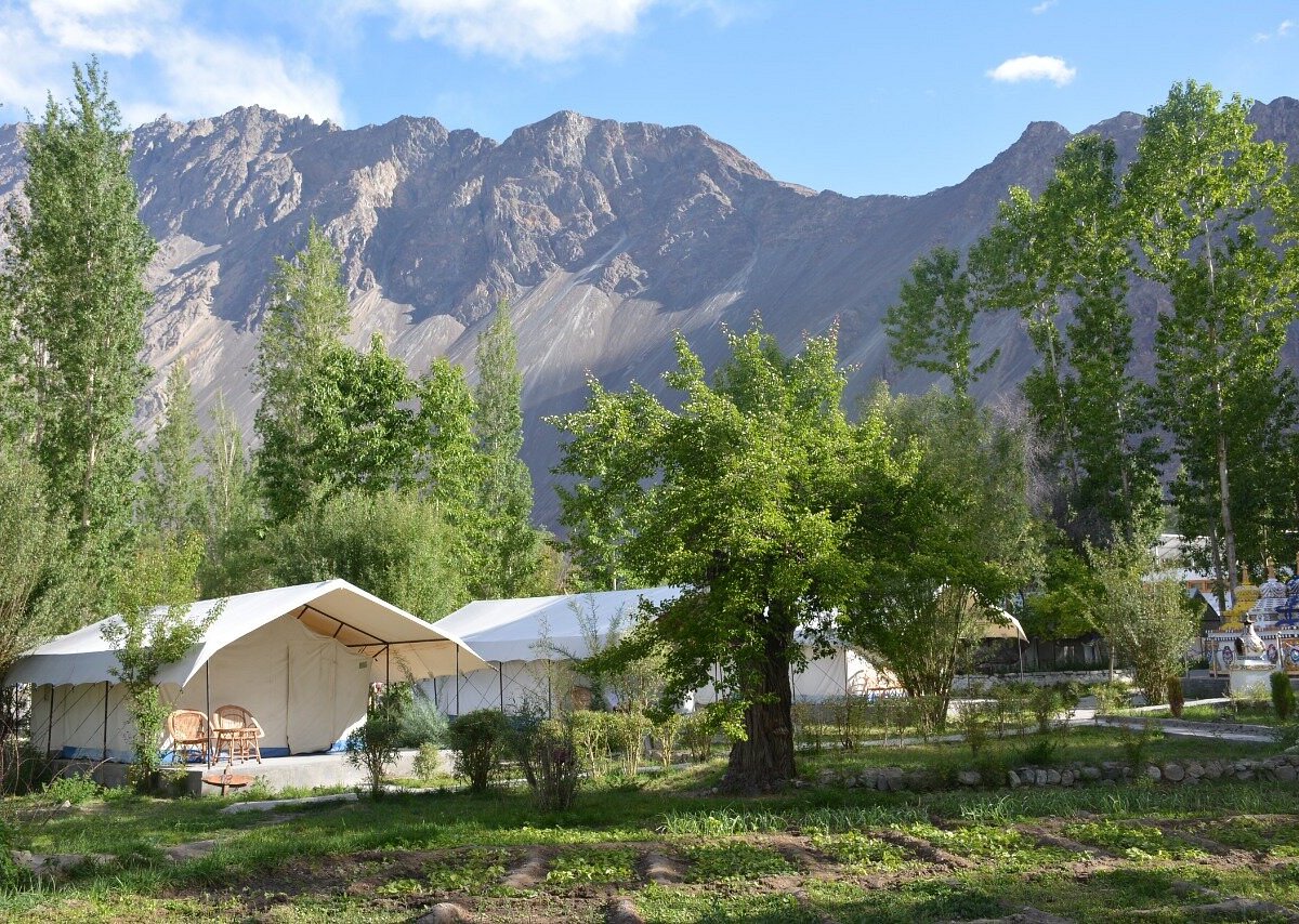 Apple Nubra Cottage interior