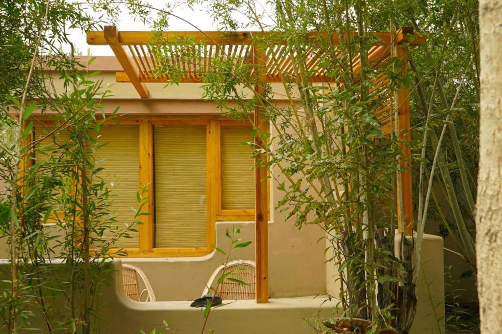 Apple Nubra Resort view